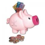 Pink Piggy Bank, Novelties Deluxe, Conference Items