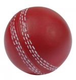 Stress Cricket Ball, Stress Balls, Conference Items
