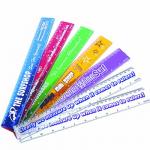 30cm Plastic Rulers , Novelties Deluxe, Conference Items